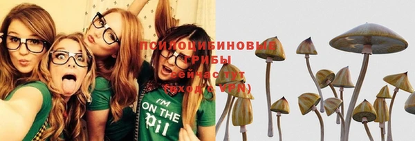 гидропоника Алексеевка