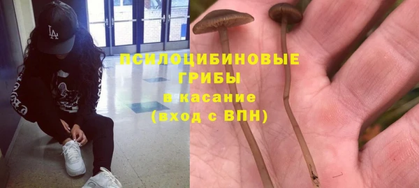 гидропоника Алексеевка