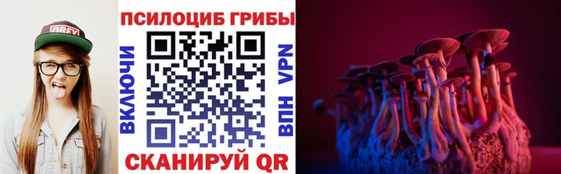Псилоцибиновые грибы Cubensis  Купить  Омск 